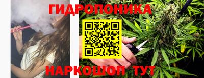 соль ск Будённовск