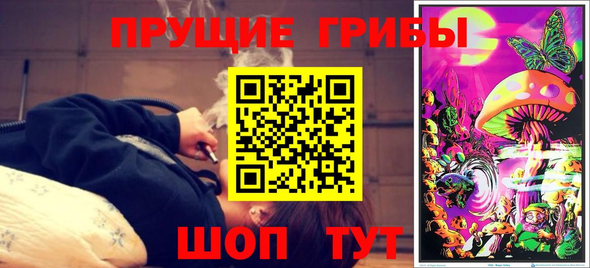 Электрогорск  Галлюциногенные грибы Cubensis  купить закладку  Вход с VPN 