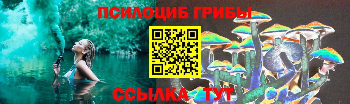 Псилоцибиновые грибы Cubensis Электрогорск