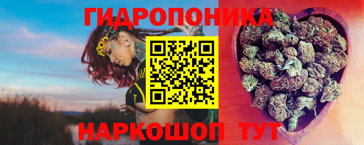 Шишки марихуана гибрид  МАРИХУАНА SATIVA & INDICA  Вход с VPN  Электрогорск 